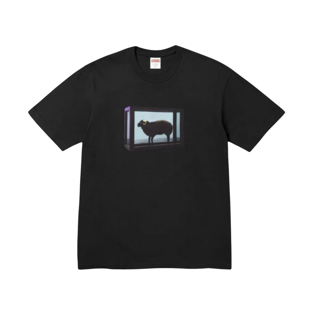 Supreme Damien Hirst Tee