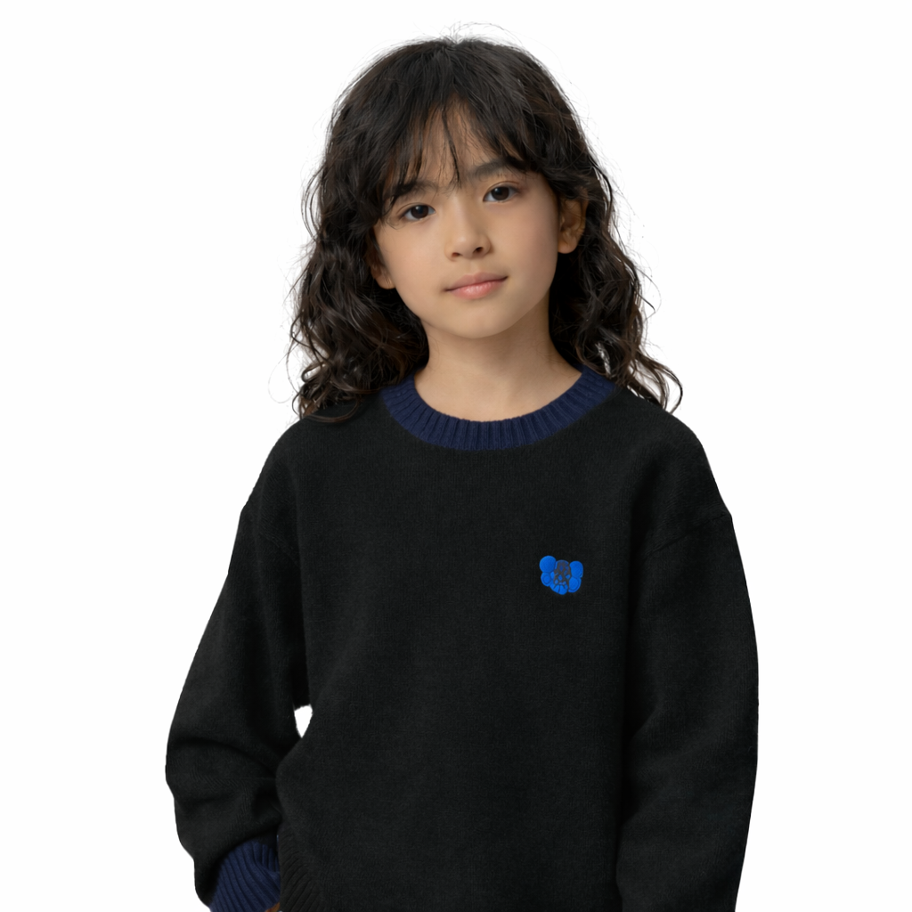 Uniqlo KAWS WINTER Souffle Yarn Sweater